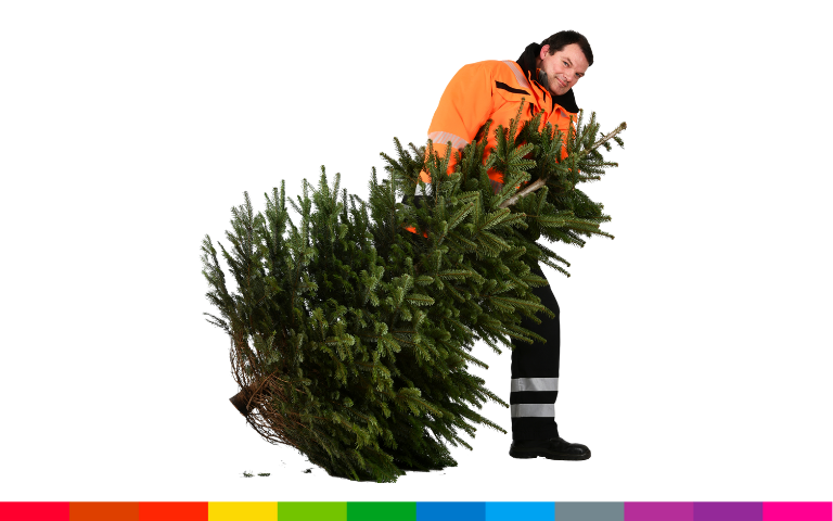 Website Actueel Kerstboominzameling