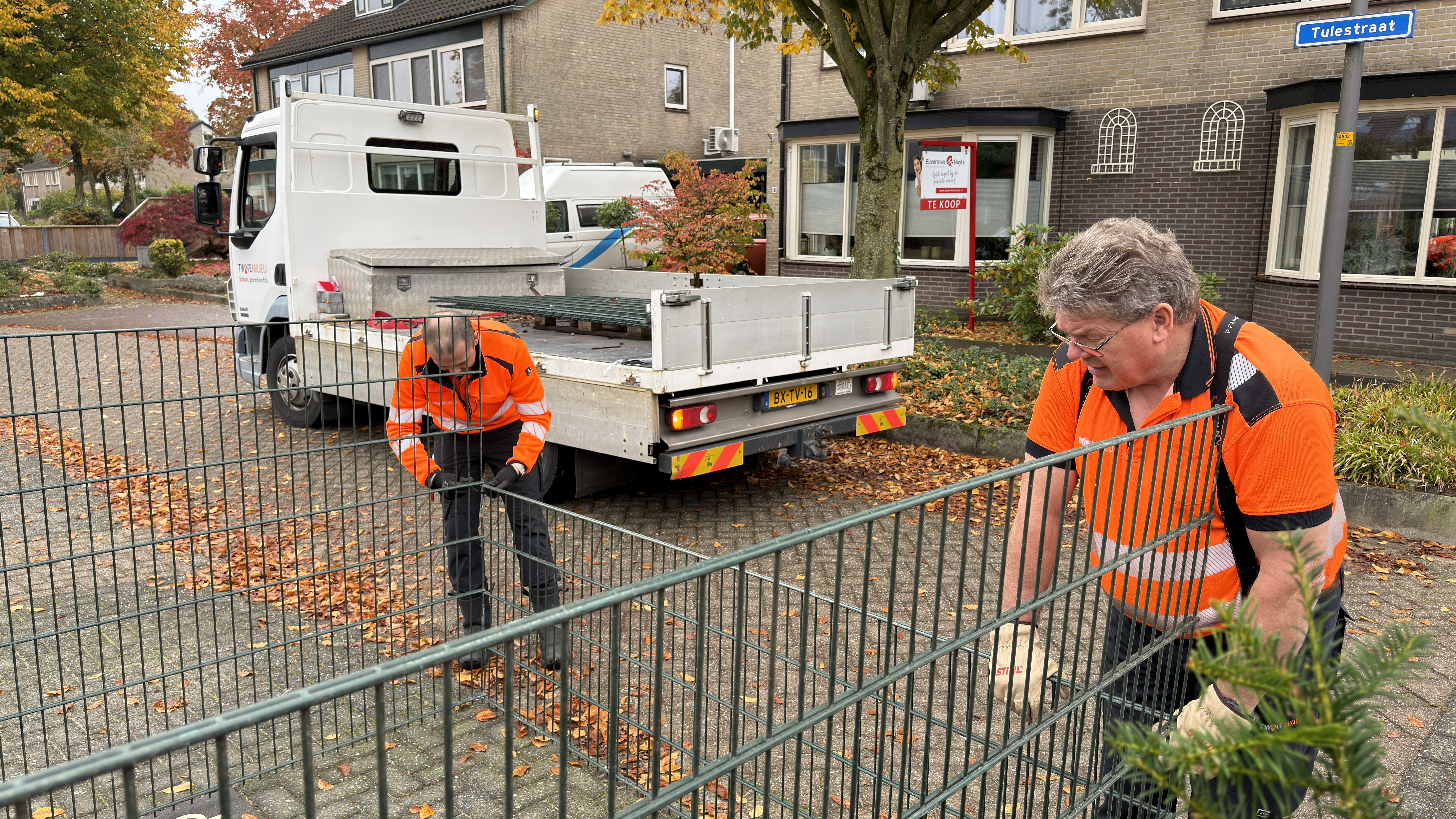 Foto plaatsen bladkorven in Borne
